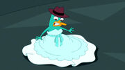 Perry in a ballgown
