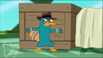 Agent P caught by surprise in a crate trap