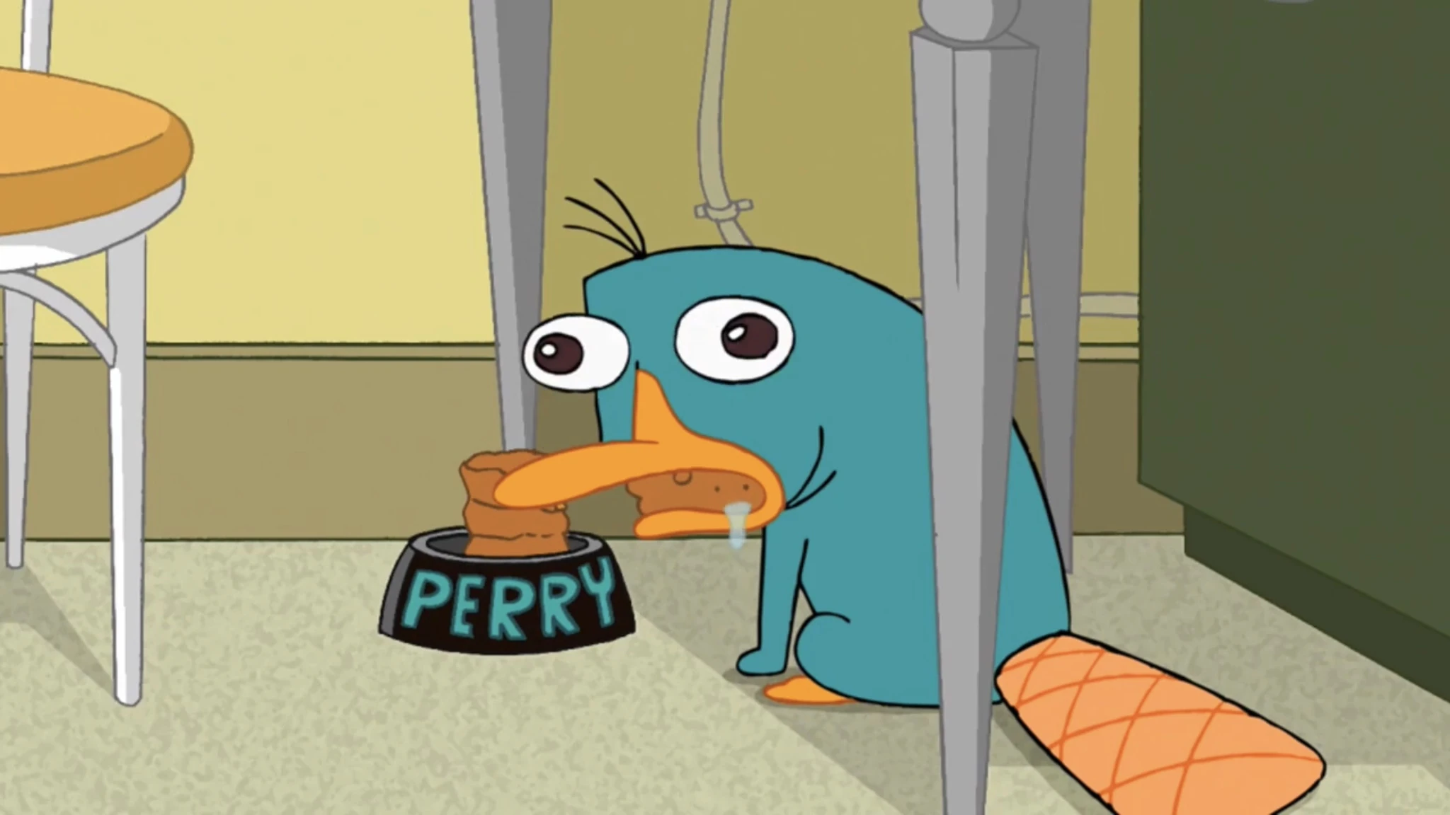 Perry the Platypus | Phineas and Ferb Wiki | Fandom
