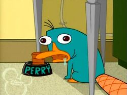 Perry as a mindless animal
