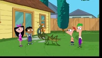 Candace as Praying Mantis.jpg (223 KB)