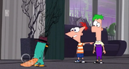 Phineas telling perry to leave