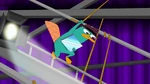 Perry stretched - PAFMCC2.png (1.83 MB)