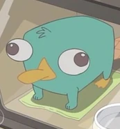 カモノハシペリー