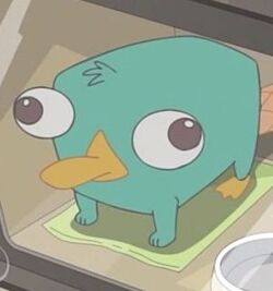 O W C A のエージェント一覧 フィニアスとファーブ Wiki Fandom O W C A のエージェント一覧 フィニアスとファーブ Wiki Fandom