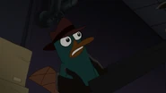 NOTLP-457-Perry nervous.jpg (167 KB)