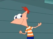 report to the backyard immediately!