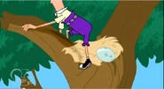 Ferb accidentally knocks an egg