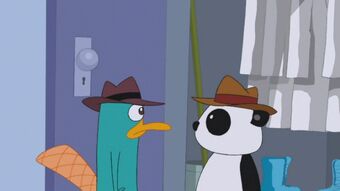 Peter The Panda Phineas And Ferb Wiki Fandom