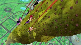 The kids started climbing