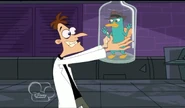 Dr. Doofenshmirtz heading to the pageant with Agent P