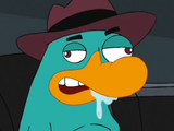 Jerry the Platypus