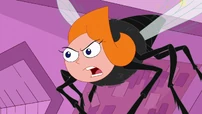 Candace is a Fly.jpg (779 KB) Phineas and Ferb, you are so buzzzzzzzzzzz-ted!