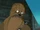 Chewbacca