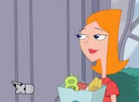 Candace Flynn Phineas Und Ferb Wiki Fandom