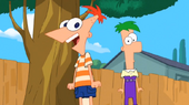 White space between phineas' legs