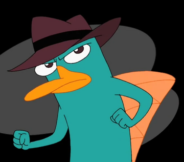 Perry hat online