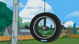 A Tire Swing