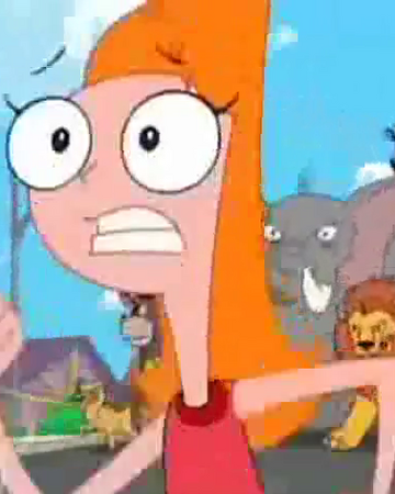 Perfect Day Phineas And Ferb Wiki Fandom