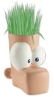 Grow-Your-Own Ferb