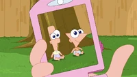 Candace takes a picture of Phineas and Ferb on her phone