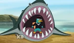 Lald028 Shark releases Perry.png (775 KB)