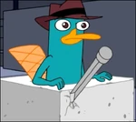 There's a chisel in perry's trap