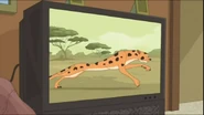 CheetahOnTV.png (400 KB) The Cheetah on TV
