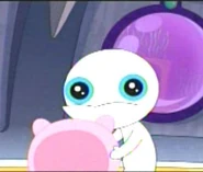 Meap without his pink helmet on.