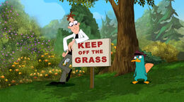 Doof looks at 'Keep Off The Grass'