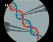 Doofenshmirtz explaining to the class about the genetic pairing of the DNA inside the hair sample