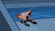 Phineas calls for help.