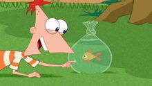 Phineas and Goldie