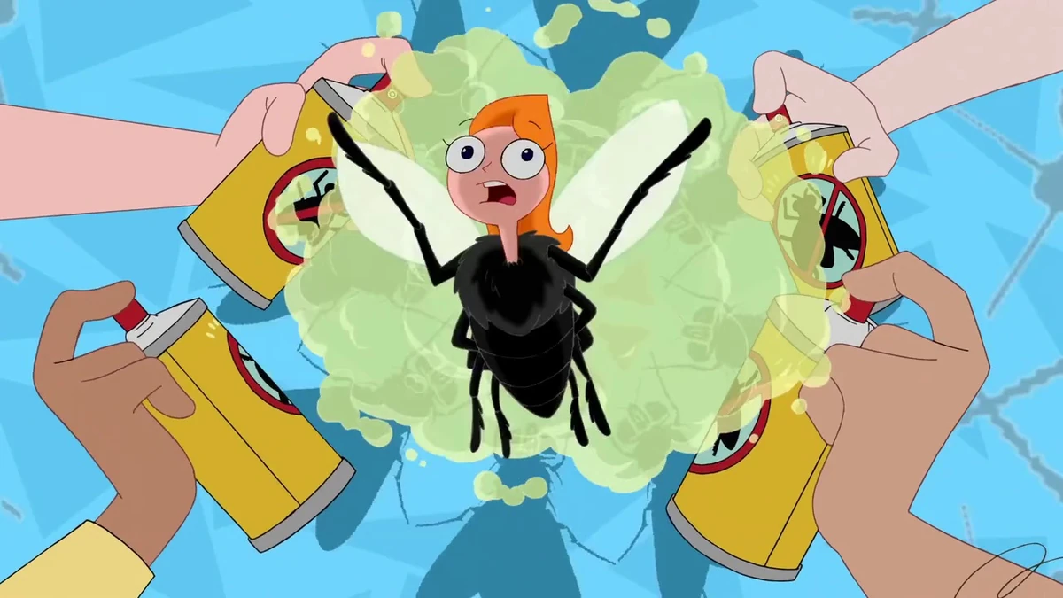 Fly On the Wall (song) Phineas and Ferb Wiki Fandom