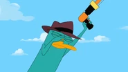 Agent P facepalming.jpg (132 KB)