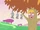 Tree Related Wish