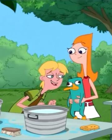 Misperceived Monotreme Phineas And Ferb Wiki Fandom