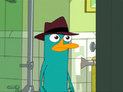 Perry in Ferb latin