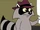 Agent R (raccoon)