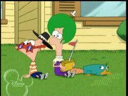 Ferb with an afro