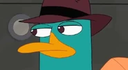 Perry is unhappy that he failed to stop Doofenshmirtz from moving the Earth away from the Sun.