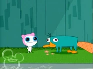 Perry and Meap meet.