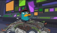 Agent P trapped in old cables.