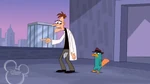 You think I am evil don't you Perry the Platypus?