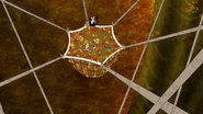 319b - Into the Net of Leaves.jpg (1.46 MB)