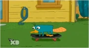 Perry on the skateboard