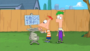 Phineas making suit plans.