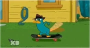 Agent P on the skateboard