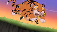 Tiger Eats Greg Le Mond's Head