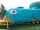 Perry the Platy-Bus